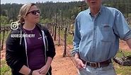Keeping up with the Vineyard - Spring 2023, Part 2 “The Naming of the Pinot Grande Vineyard!”