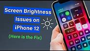 Screen Brightness Issues on iPhone 12 (Here is the Fix)