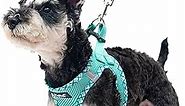 PUPTECK Dog Harness and Leash Set for Small Medium Dogs No Pull Step-in Soft Mesh Puppy Cat Vest Harnesses Reflective at Night, Green S