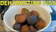 How To Dry Figs: Double Your Fig Harvest By Dehydrating Figs