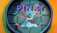 Pinky and the Brain: The Complete Series
