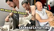 Granpa's REACTION to My CATS High on CATNIP! 😲😹