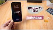 How to Unlock iPhone 12 Mini without Passcode or Face ID