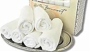 Bathroom Hand Towel Set - Vanity Tray & (6) 12x12 Hotel wash Cloths - Powder Room Towels - Guest Bathroom Essentials