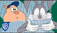 Looney Tunes | Bubblewrap Ballad 🎶| WB Kids