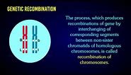 RECOMBINATION OF CHROMOSOME