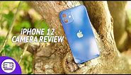 iPhone 12 / iPhone 12 Mini Camera Review