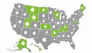 Mapping State-by-State Tech Trends: Android vs. iOS