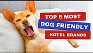 Top 5 Most Dog-Friendly Hotel Brands