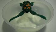 Swimmimg Frog - A toy frog that actually swims like one!