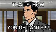 Archer - That's how you get ants - Episode 1 Season 1 - First 3 ant references