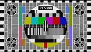 PT5300 / PT8633 "Philips" 16:9 Test Card (NTSC)