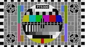 PT5300 / PT8633 "Philips" 16:9 Test Card (NTSC)