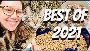 Best cat food brands (2021) - Jess Caticles