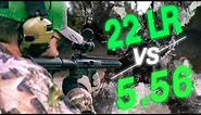 5.56 vs .22LR | Why .22 LR AR-15?