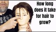 How Long Does it Take for Hair to Grow? - TheSalonGuy