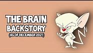 Animaniacs – "The Brain" Full Backstory