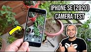 iPhone SE 2020 Camera Test (4K 60 FPS)