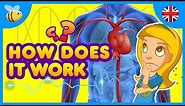 How Does The Human Body Work? | Kids Videos