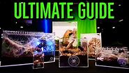 Ultimate Guide to Tarantula Enclosure Setups!