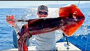 Fishing with Huge Squid as Bait to Catch Something Bigger