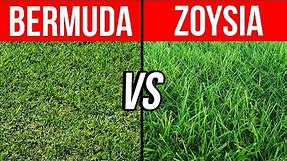 Bermuda vs Zoysia - Pros, Cons, and Tips to Help You Choose the Best Grass for Your Lawn