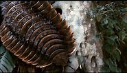 Arthropleura - The Largest Arthropod That Ever Existed / Documentary (English/HD)