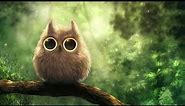 Cool Owl Wallpapers