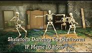 Skeletons Dancing To Beethoven IP Meme 10 Hours