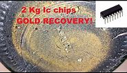 2 Kg Ic chips gold recovery in an easy way!