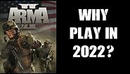 If You Like DayZ, Why Should You Play Arma 2 In 2022?