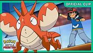 Suspect Pokémon Battles! | Pokémon: Master Quest| Official Clip