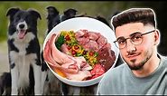 Best Raw Food Diet For Dogs | Undeniable Truths "Experts" Won't Tell You