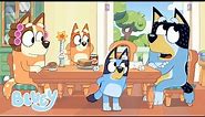 Who Fluffied? | Family Meeting - Series 3 | Bluey