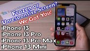 How to Fix Frozen or Unresponsive Screen: iPhone 13 /iPhone 13 Pro/ iPhone 13 Pro Max/iPhone 13 Mini