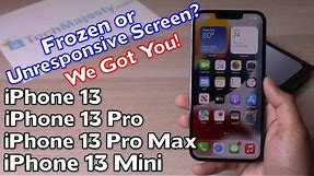 How to Fix Frozen or Unresponsive Screen: iPhone 13 /iPhone 13 Pro/ iPhone 13 Pro Max/iPhone 13 Mini