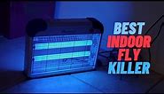 Best Indoor Fly Killer | Indoor Fly Killer (Reviews & Buying Guide)