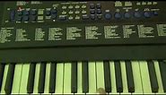Techno-Beat Electronic Keyboard (attic find)
