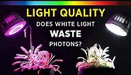 Grow Lights 101: Best Plant Growth Spectrum Color? White vs Red/Blue LED + What is PAR & ePAR Light?