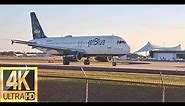 4K Plane Spotting | Tampa International Airport | Watching Airplanes (TPA) Clear Skies