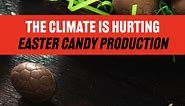 The Climate Is Hurting Easter Candy Production