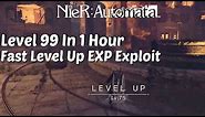 NieR Automata - Level Up Fast | EXP Exploit Level 99 in 1 Hour or Less