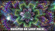 Vaulted 6K Loop Pack - DMT Flower