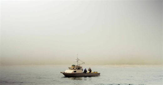 What is Aquaculture? An Overview of Sustainable Ocean Farming