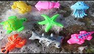 Sea Animal Toys Frozen and Unfrozen (Playtime4Kidz)