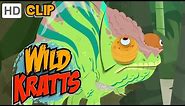 Wild Kratts - Chameleon Power