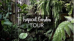 Tropical Garden Tour with Exotic Tropical Plants (with plant names!)