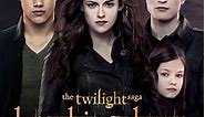 The Twilight Saga: Breaking Dawn - 2