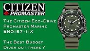 The Citizen ProMaster Marine Diver BN0157-11X - The Greatest Budget Green Diver Out There?