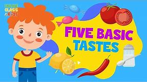 Five Tastes | The Five Basic Tastes | Sense of Taste | Science Lesson for Kids